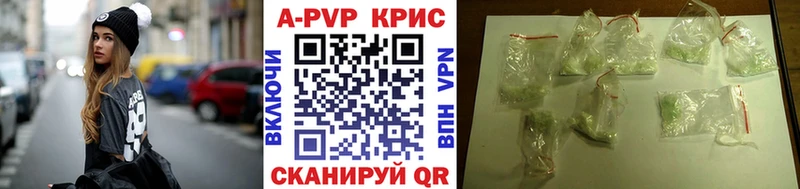 A PVP СК КРИС  Ковылкино 