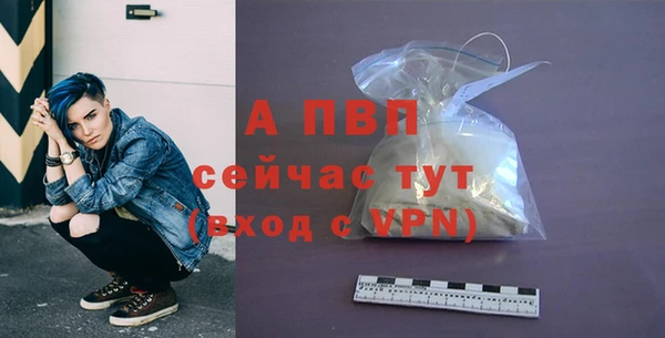 крисы Елабуга