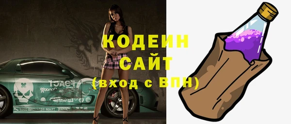 крисы Елабуга