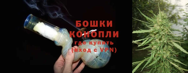 крисы Елабуга