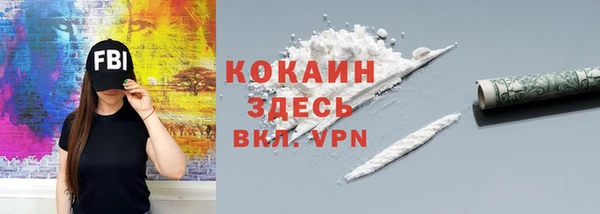 a pvp Ельня