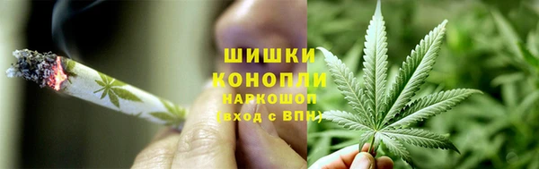 СК Дмитровск