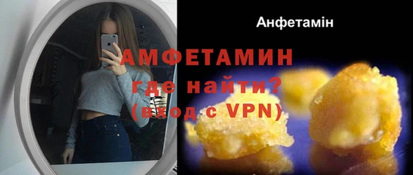 a pvp Ельня
