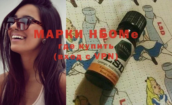 крисы Елабуга