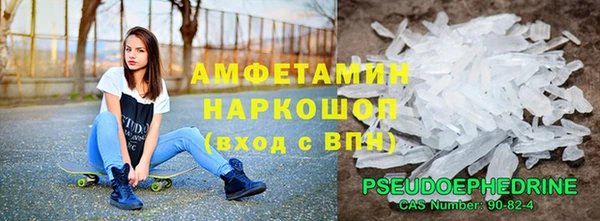 a pvp Ельня