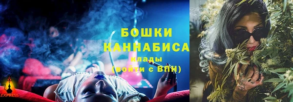 a pvp Ельня