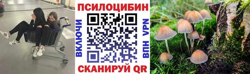 как найти закладки  Ковылкино  сайты даркнета состав  Псилоцибиновые грибы Cubensis  ОМГ ОМГ tor 